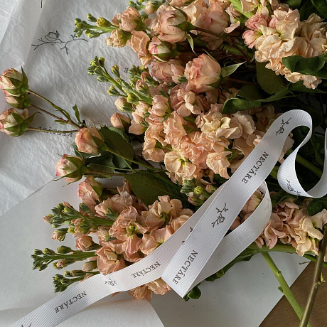 Дуэт Маттиола и Кустовая Роза №160 - Фото 3