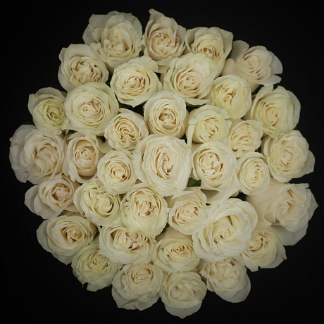 Эквадорские розы в шляпной коробке L №160 - Фото 2