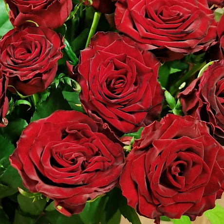 Букет цветов Люблю №162 - Фото 5