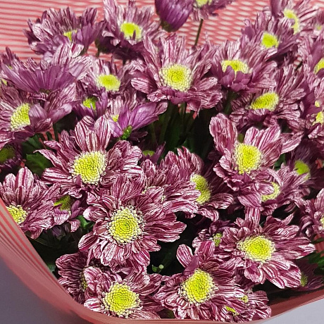 Букет с хризантемами №318 - Фото 3