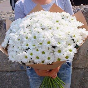Букет из 15 кустовых хризантем №168