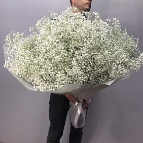 Букет "Гифсофила" №260