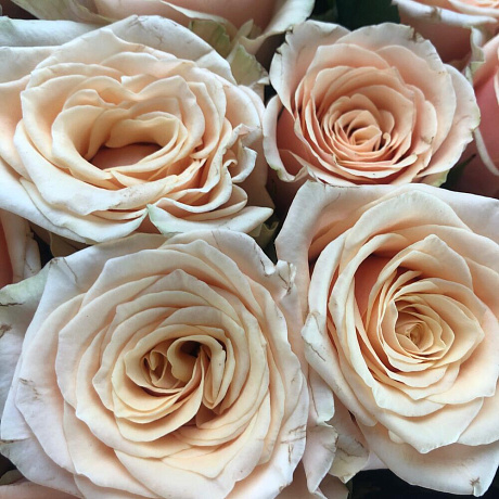 Букет Ноэлия цвета айвори - Фото 6