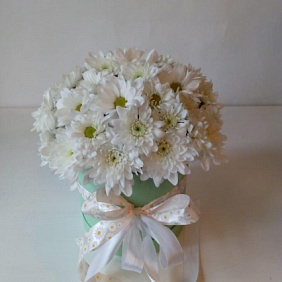 Коробка с хризантемами