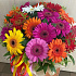Цветы в коробке «Микс Счастия» - Фото 2