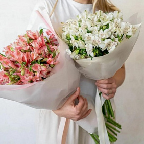 Монобукет из альстромерии