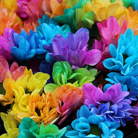 Радужная хризантема в стильной упаковке - Фото 4