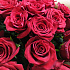 Шикарная эквадорская роза  21 штука - Фото 3