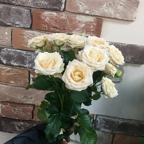 Букет цветов "Карамель" №162