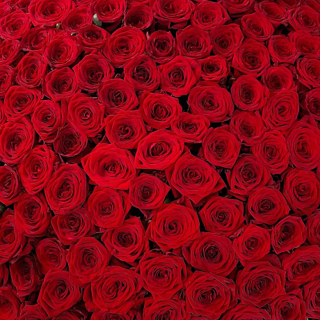 Букет цветов Edna 201 - Фото 4