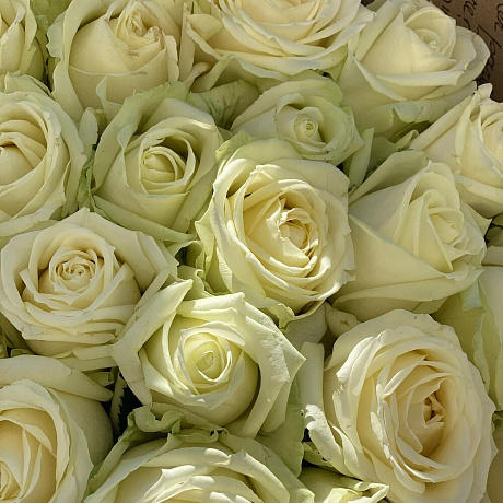 Букет цветов Моно вайт - Фото 3