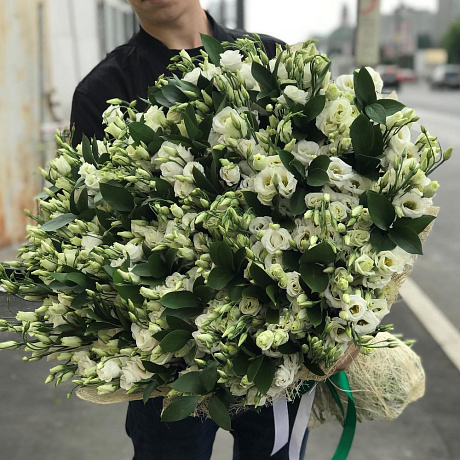 Букет из эустомы 99 шт с рускусом. N280 - Фото 4