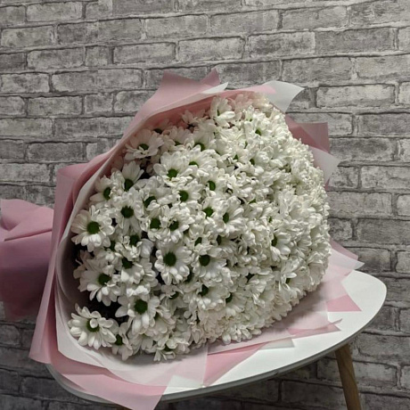 51 кустовая хризантема - Фото 3