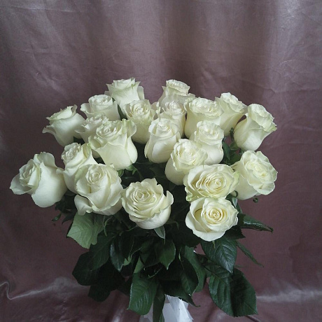 Букет из 21 белой эквадорской розы - Фото 2