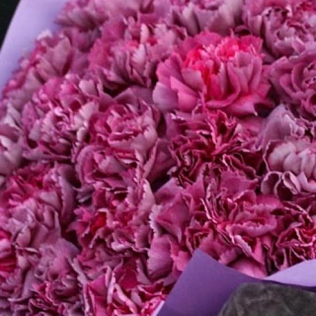 Букет из гвоздик сорта Гипноз - Фото 4