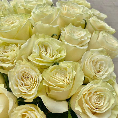 Букет из 25 белых роз №170 - Фото 4