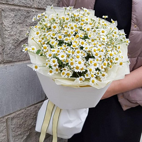 Большой букет из ромашек"Лето"