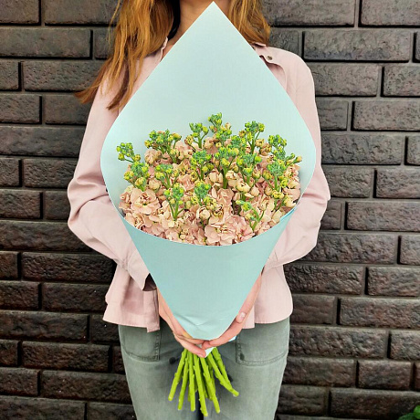 Букет из пудровой маттиолы - Фото 4