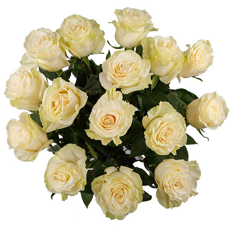 Букет цветов из 15 роз Мондиаль №160 - Фото 2