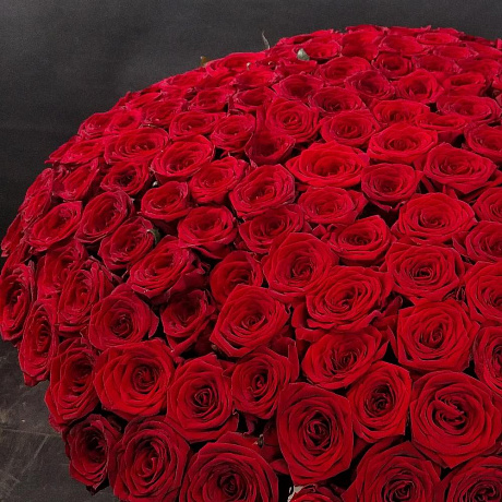 Букет цветов Edna 201 - Фото 2