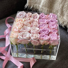 Роза сортовая в коробке