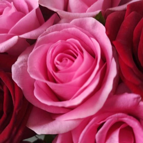 Букет Розовый микс №163 - Фото 5