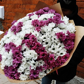 Букет из 75 хризантем