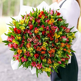 большой букет 101 альстромерия