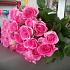 25 кенийских роз 60 см - Фото 3