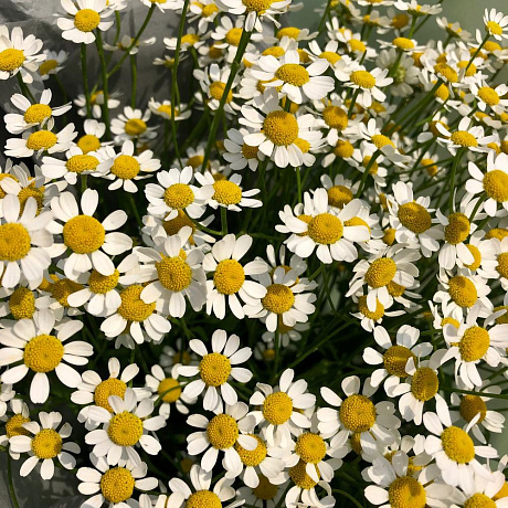 Букет цветов Summertime №161 - Фото 4