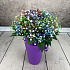 Букет цветов Конус воздушный - Фото 4