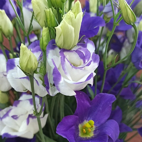 Букет Нежность лизиантуса - Фото 3