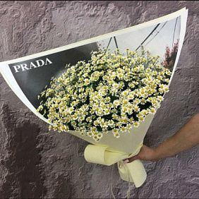 Букет Танацетума №160