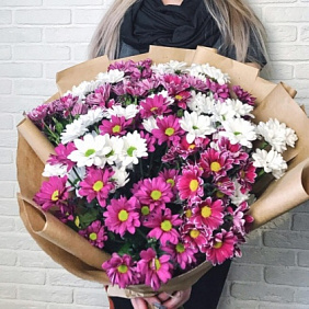 Букет из 15 кустовых хризантем №161