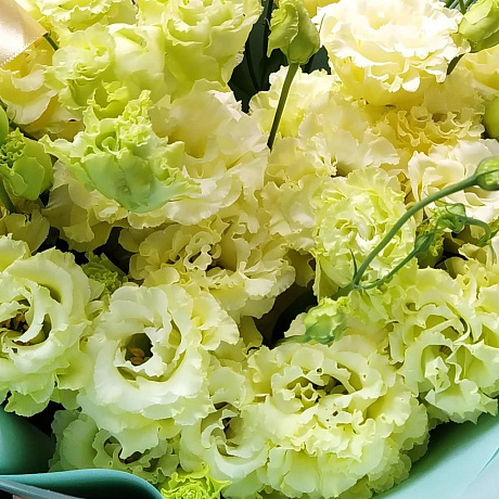 Букет цветов Yellow Lace - Фото 5