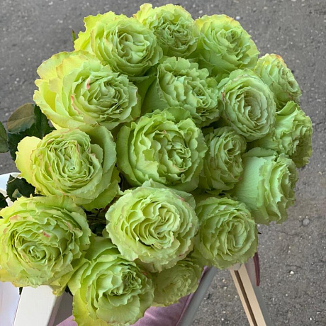 Монобукет 19 зеленых роз 60см - Фото 4