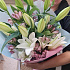 Букет цветов Лилия Люкс - Фото 3