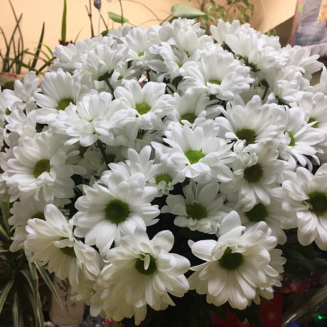 Букет цветов «Бакарди 7» - Фото 2