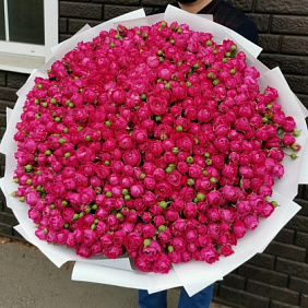 Букет из 201 розы Миссти