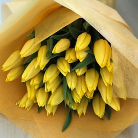 Желтые тюльпаны №160