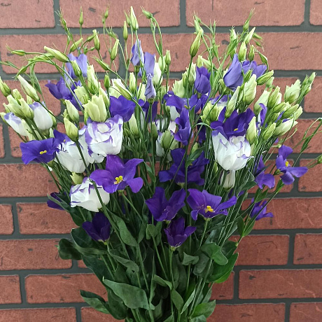 Букет Нежность лизиантуса - Фото 2