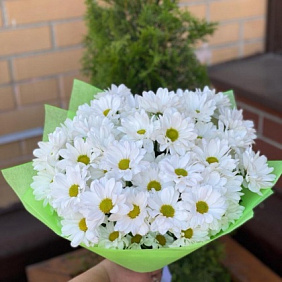 Ромашка №163