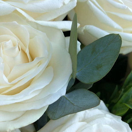 Букет цветов Creamy bouquet of white roses - Фото 6
