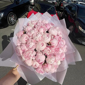 Пион розовый 49