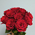 Шикарная эквадорская роза 11 шт - Фото 1