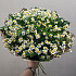 Букет цветов Ромашулька - Фото 3