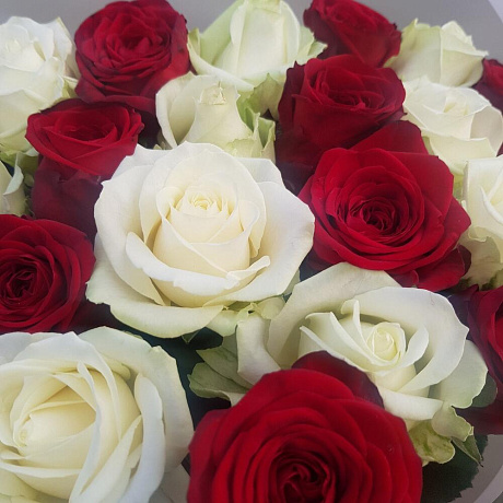 21 роза микс №160 - Фото 5