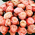 Сортовая Пионовидная Роза «Кахала» Эквадор - Фото 4