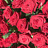 Корзины с цветами.  Красные Розы. 201 роза. N171 - Фото 4