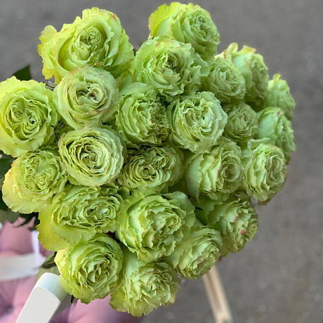 Монобукет 25 Зелёных роз 60см - Фото 4